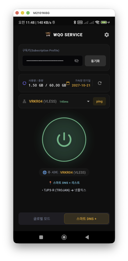 스마트 DNS 가속망 기동 성공