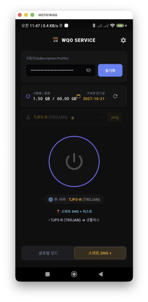 스마트 DNS 모드 선택